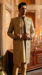Sherwani SW-169