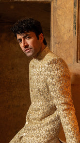 Sherwani SW-176
