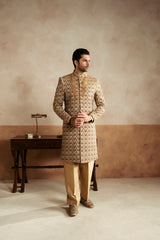 Sherwani SW-198