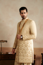 Sherwani SW-195