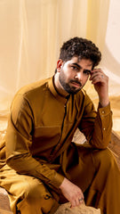 Shalwar Kameez C-1499