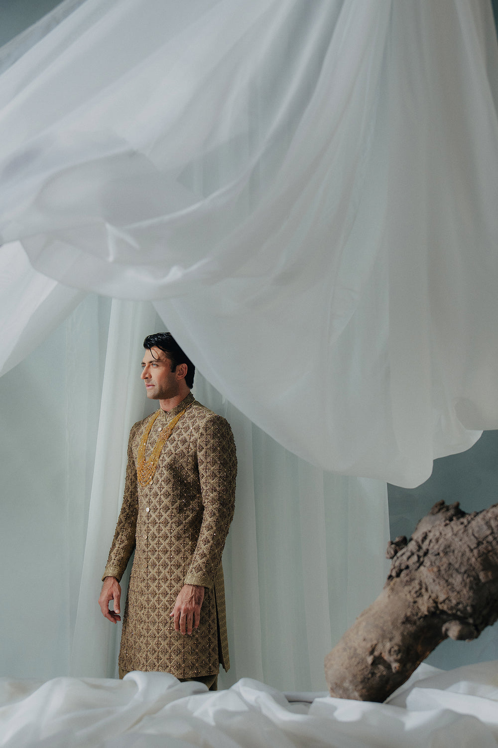 Sherwani SW-205