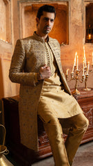 Sherwani SW-169