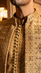 Sherwani SW-169