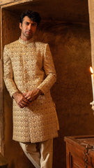 Sherwani SW-176