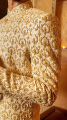Sherwani SW-176
