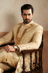 Sherwani SW-195