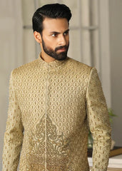 Sherwani SW-129
